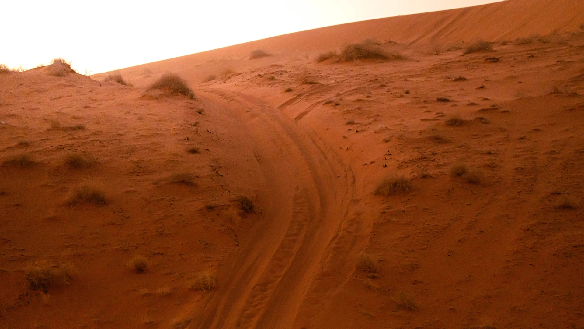 Najdi Camp